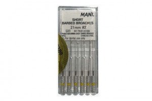 باربد بروچ مانی Mani طول 21 میلیمتر