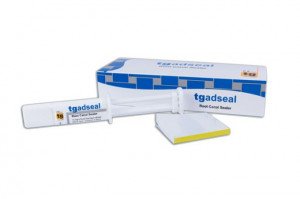 سیلر اندو رزینی تی جی TG مدل TgADSeal